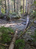 Mineral Creek (Alpine Lakes)-20200829173705 pic.jpg
