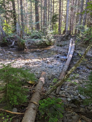 Mineral Creek (Alpine Lakes)-20200829173705 pic.jpg