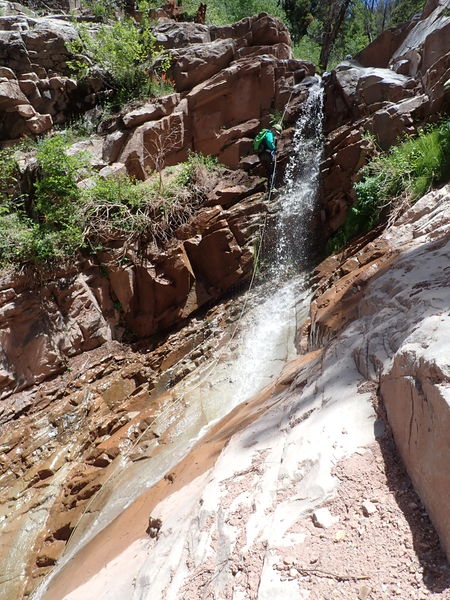 File:Sheepdog Creek pic12.jpg