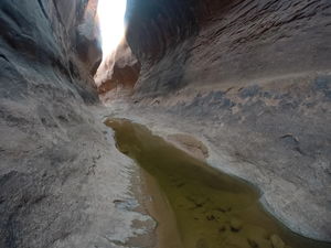 West Canyon Narrows four.jpg