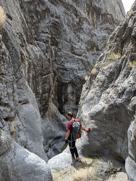 File:Augie Canyon DC1.jpg