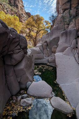 Chalk Creek Canyon Banner.jpg