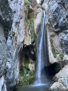 FILE-20201203001554.jpg
