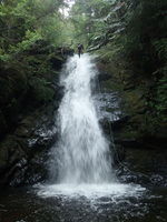 Hawthorn Creek (North Cascades)-20210715075555 pic.jpg