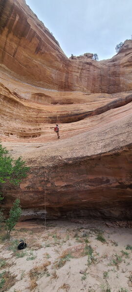 File:Knee Canyon (North) pic003.jpg