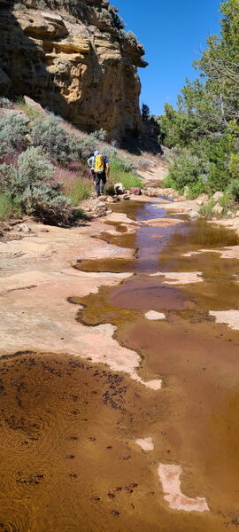 File:Pool Creek (Dinosaur) pic03.jpg