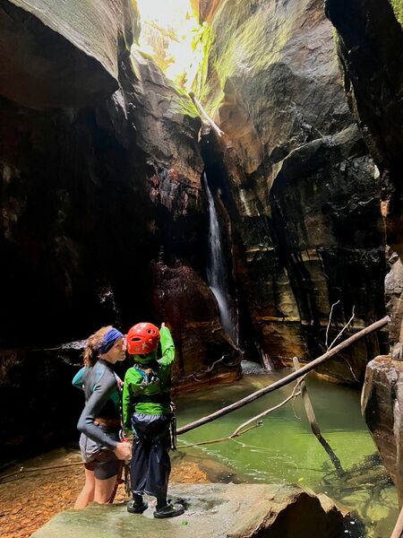 File:Dead Tree Banner.jpg