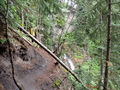 Thumbnail for version as of 09:10, 26 July 2022