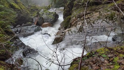 Murphy Creek pics2.jpg