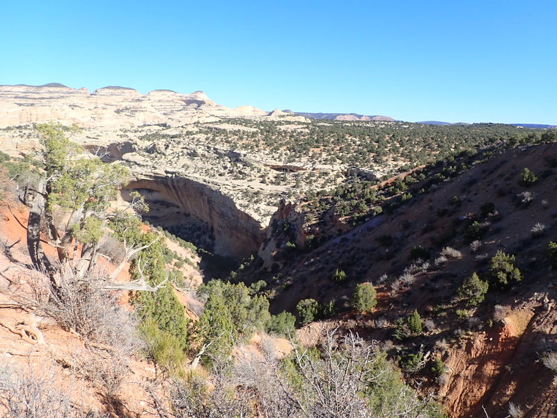 File:West Serviceberry Draw pic7.jpg