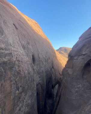 Bushwax Canyon Banner.jpg