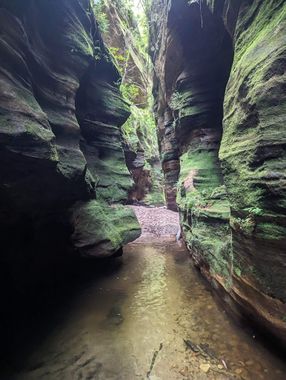 Freshwater Creek Banner.jpg