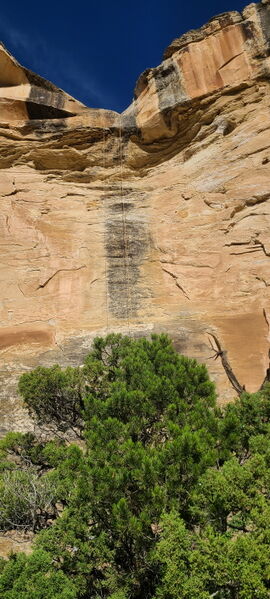 File:Rimrock Canyon pic003.jpg