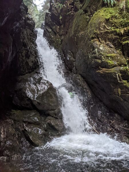 File:Hungry Bear fd r8.jpg