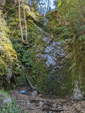 Pfeiffer-Redwood Creek Banner.jpg