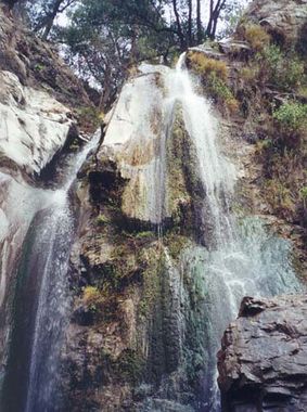 Wolfskill Canyon Banner.jpg