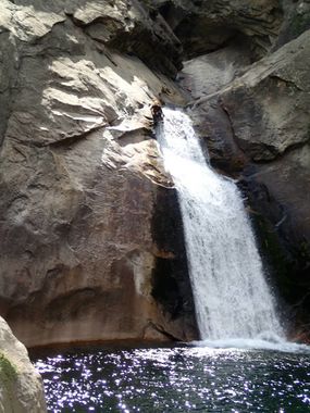 Roaring River Banner.jpg