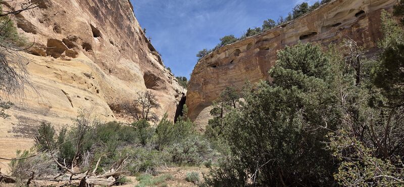 File:Upper Knowles Canyon pic010.jpg