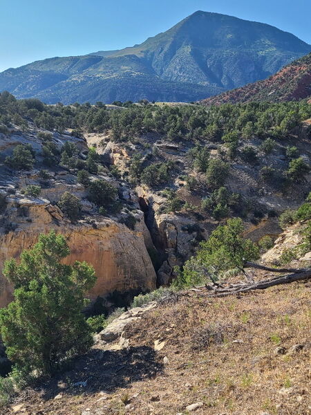 File:Carcass Canyon (Dinosaur) pic3.jpg