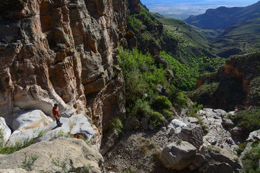 Dog Canyon Banner.jpg