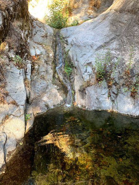 File:FILE-2020123018451231231241.jpg