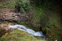 Lewis River-20150902050617 pic.jpg