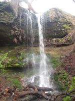 Memaloose Creek (Columbia River Gorge)-20200124081537 pic.jpg