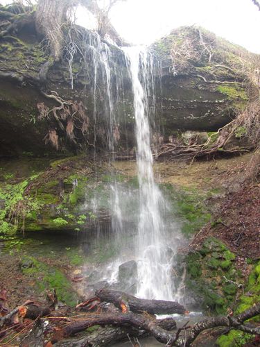 Memaloose Creek (Columbia River Gorge)-20200124081537 pic.jpg