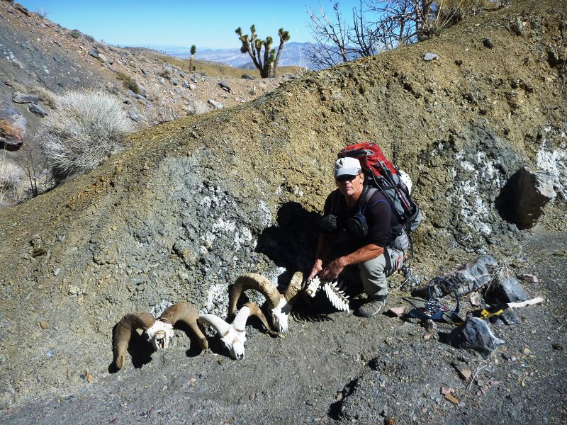 File:Boneyard Canyon Banner.jpg