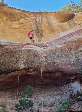 Venom Canyon Banner.jpg