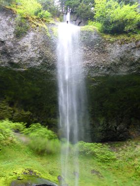Whale Creek Banner.jpg
