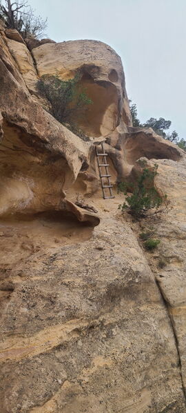 File:Knee Canyon (North) pic012.jpg