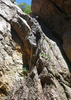 Shake Tree Canyon-20160214022435 pic.jpg