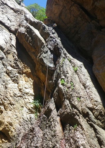Shake Tree Canyon-20160214022435 pic.jpg
