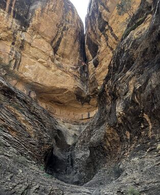 Showdown Canyon (Dinosaur) Banner.jpg