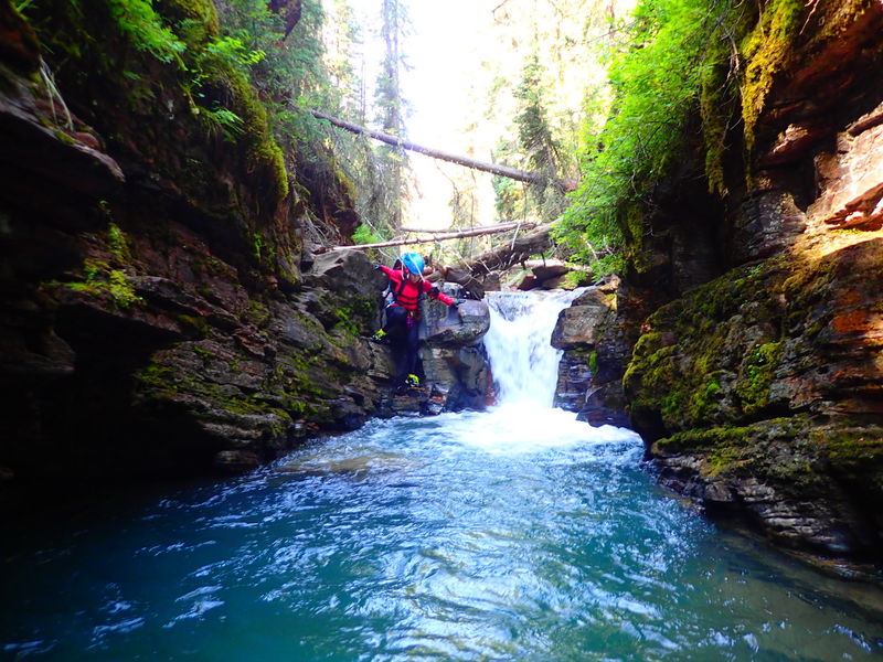 File:South Fork Mineral Creek (Lower) SForkMinLow006.jpg