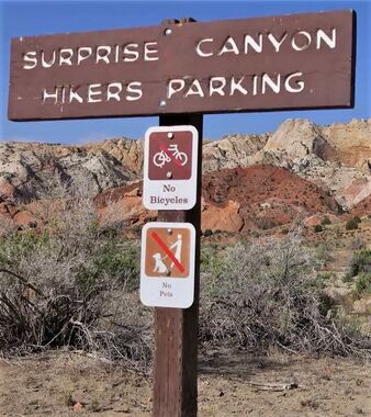 Surprise Canyon (Capitol Reef National Park) Banner.jpg