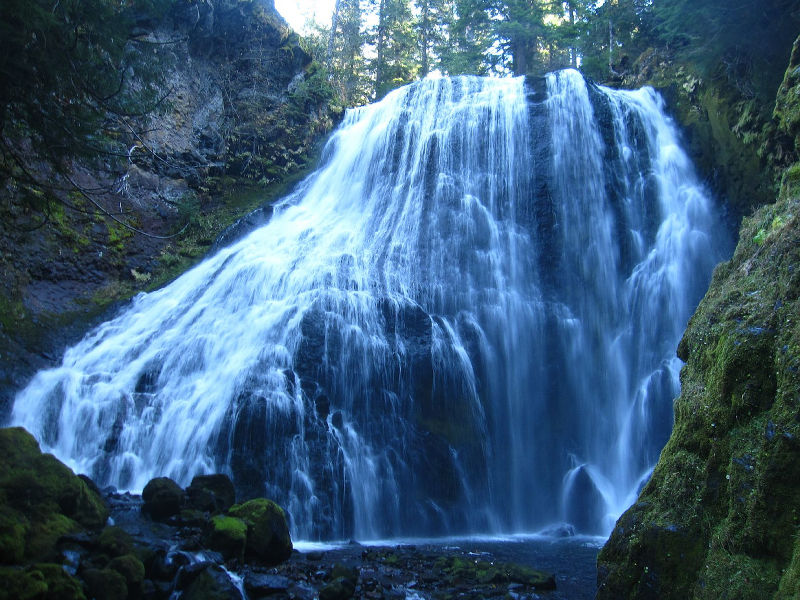 File:Tillicum Creek Banner.jpg