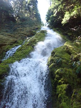 Covell Creek (Main Fork) Banner.jpg