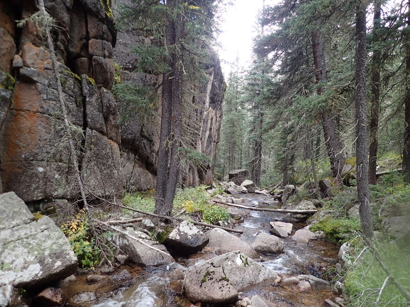 File:Grasshopper Creek Grasshopper Ira047.jpg