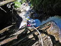 Thumbnail for version as of 13:31, 23 August 2024