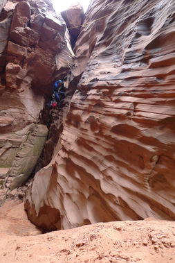 Sleepy Hollow Banner.jpg