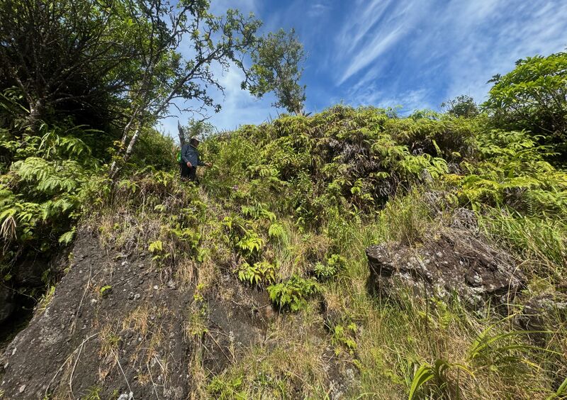 File:Emerald Canyon handline.jpg