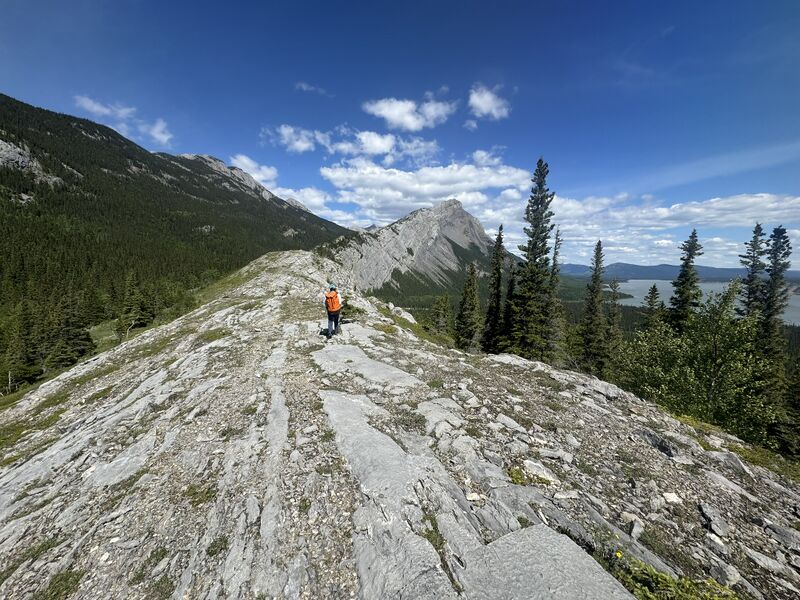 File:Ogre Canyon ogreridge.jpg