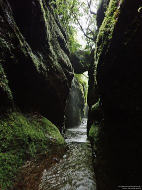 Ribeiro Frio Banner.jpg