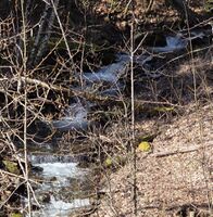 Wieberg Creek-20250408203615 pic.jpg
