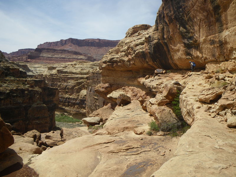 File:26786462807 f61d04c075 o.jpg