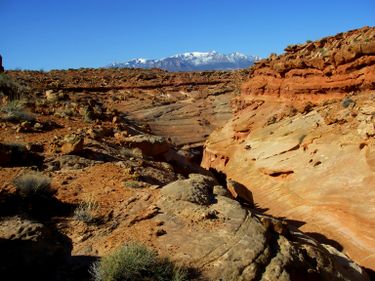 Benign Canyon Banner.jpg