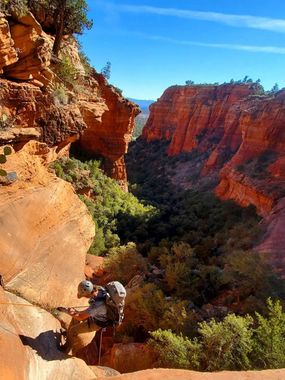 Little Bear Banner.jpg