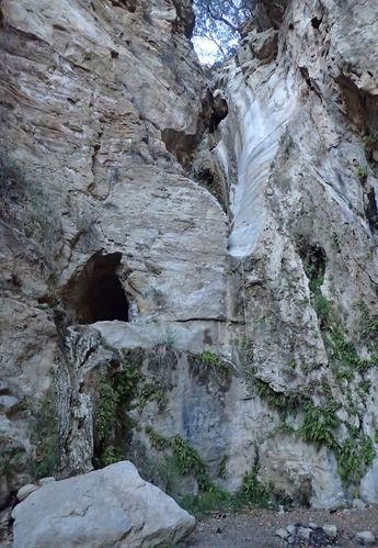 Black Star Canyon-20151215203029 pic.jpg